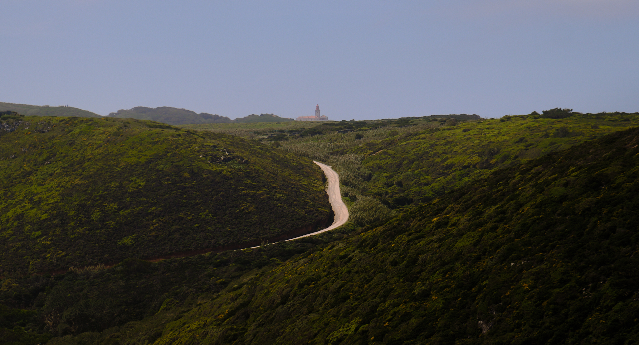 Road to the lighthouse